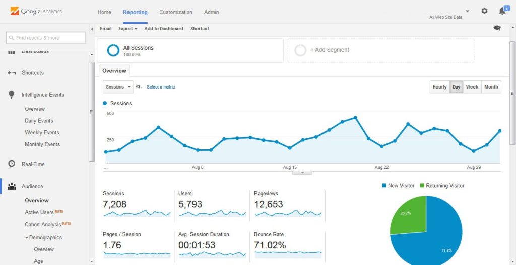 Google-Analytics-Audience-Overview