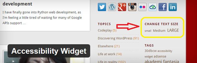 Accessibility widget WordPress plugin