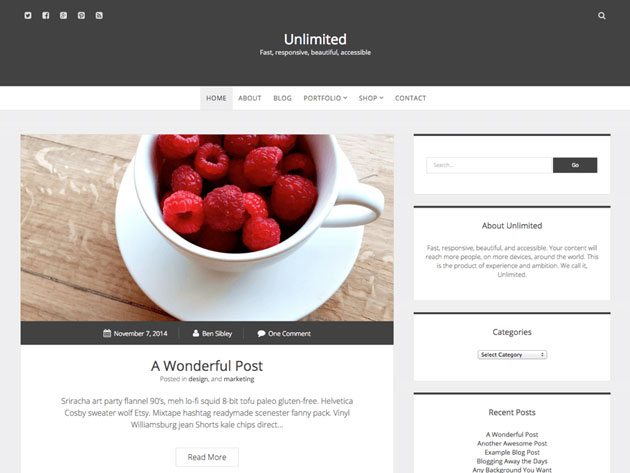 Unlimited web-accessibility-ready WordPress theme