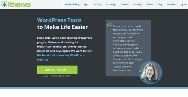 iThemes successful WordPress businesses