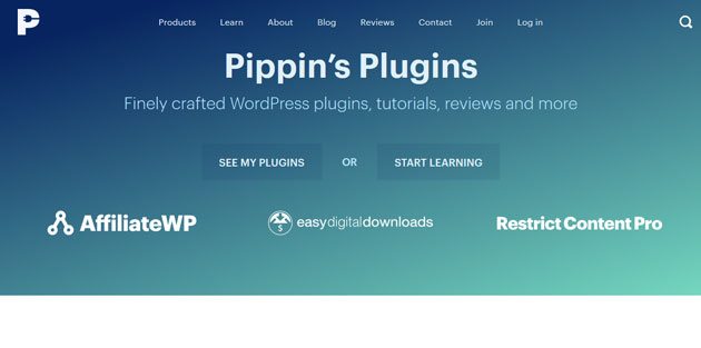 successful WordPress businesses Pippins Plugins
