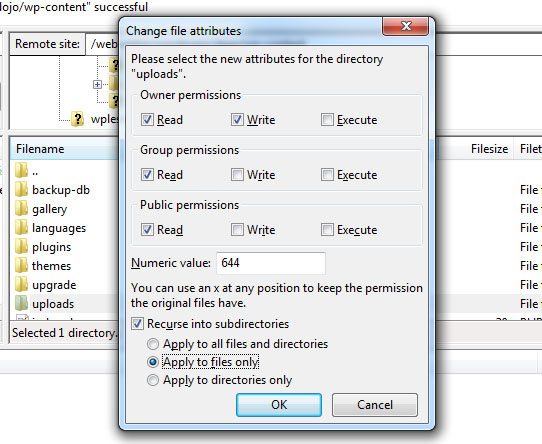 common wordpress-errors change file permission