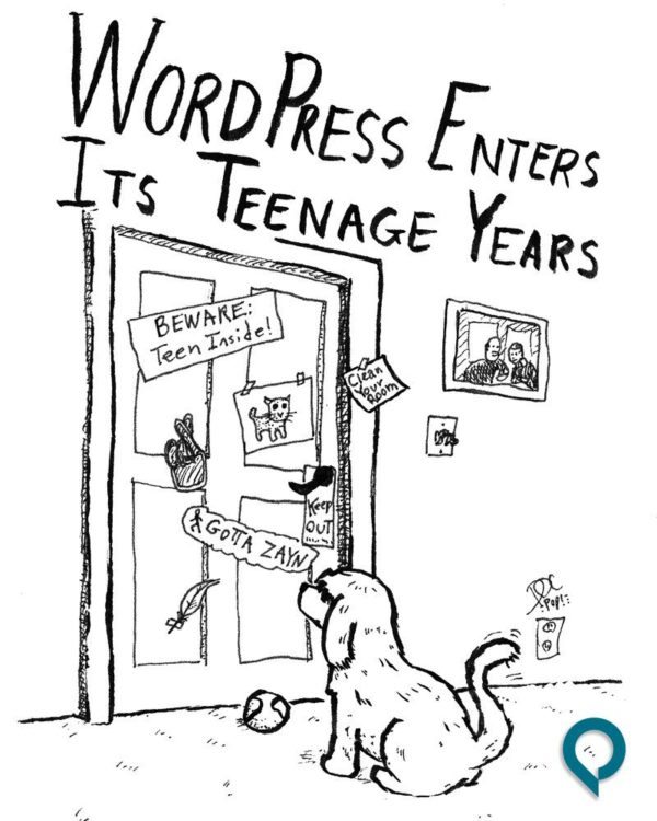wordpress-teen-compressor