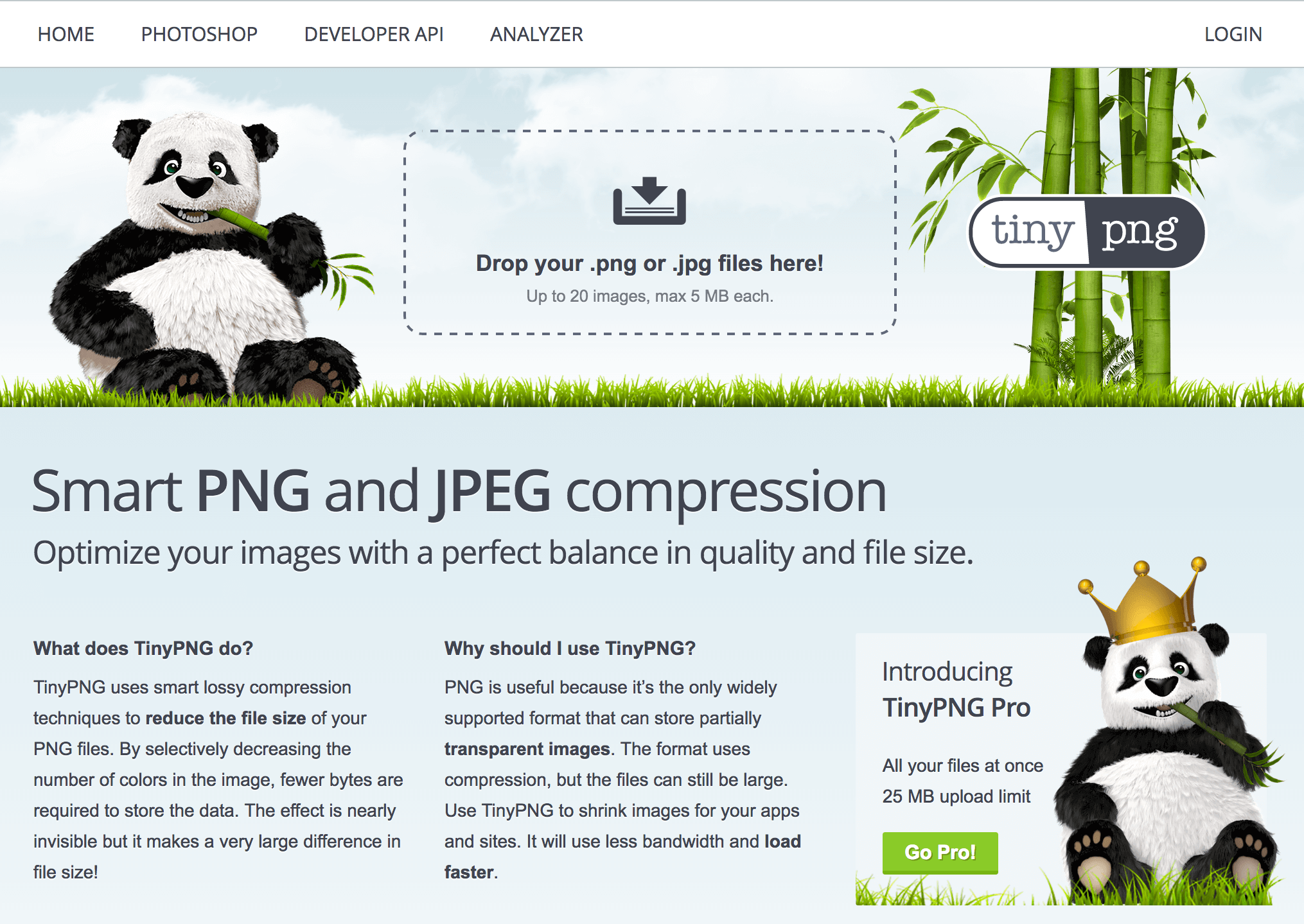 The TinyPNG home page.