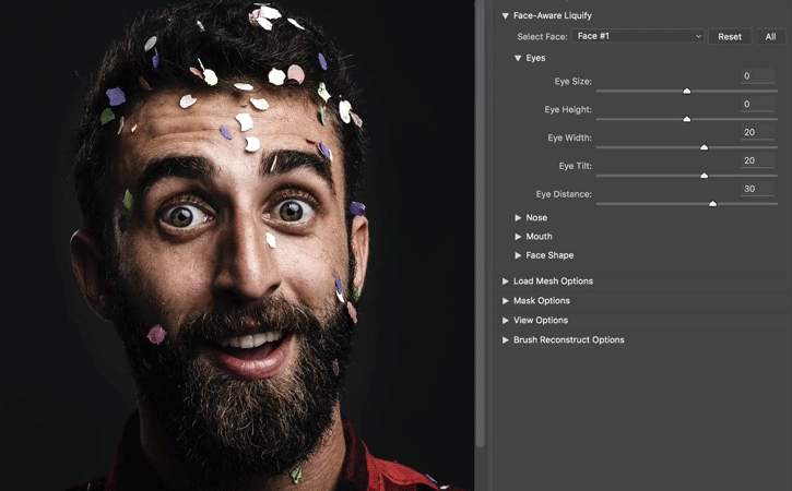 Adobe Photoshop face aware liquify