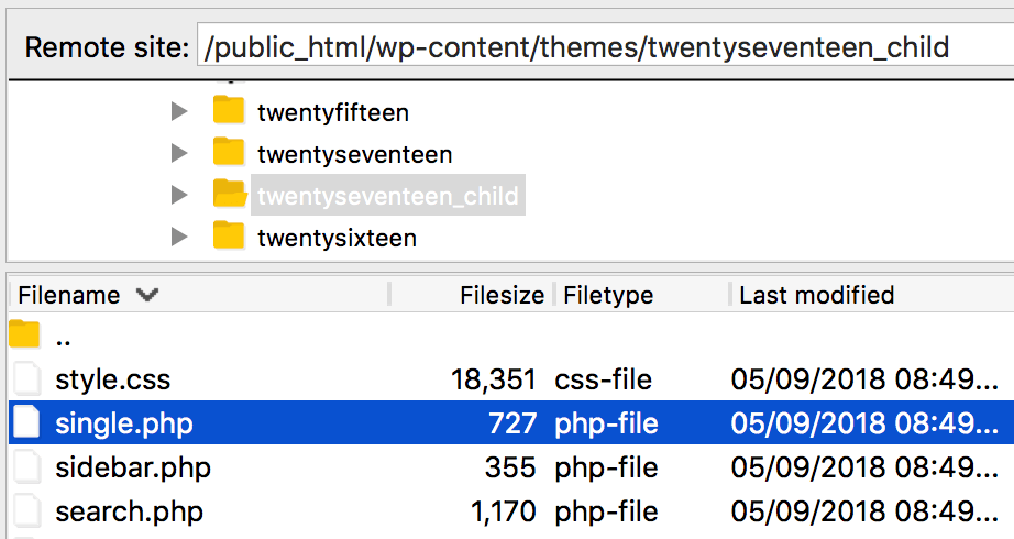 The single.php file in a child theme folder.