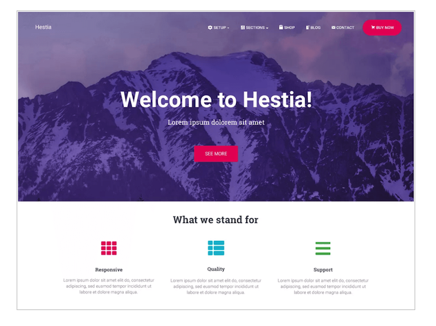 The Hestia WordPress theme by ThemeIsle.