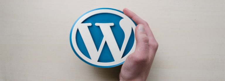 Hand with WordPress logo.
