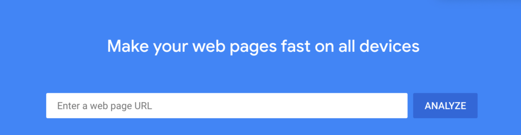 The Google PageSpeed Insights tool.
