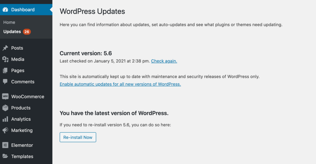 The WordPress auto-updates feature.