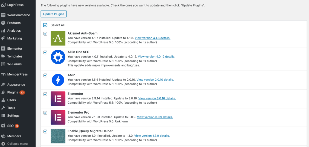 The auto-update feature for WordPress plugins. 