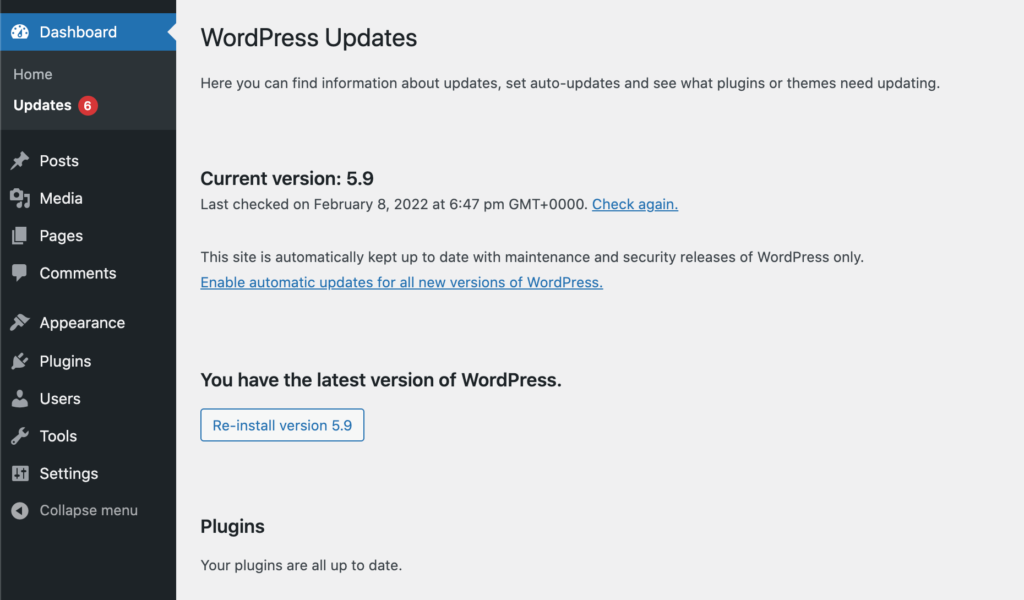 WordPress' auto-update settings.