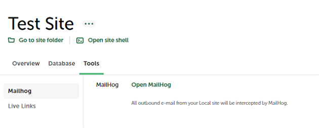 Using the MailHog tool in Local