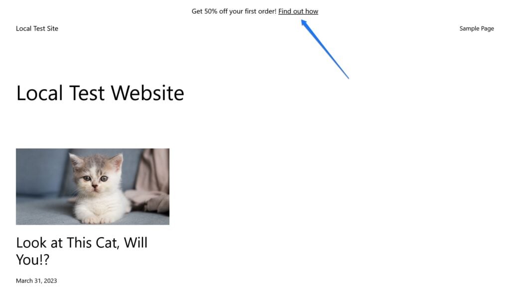 new widget visible on website front end