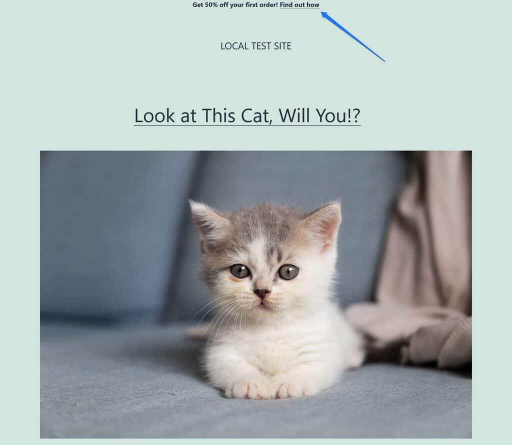 widget content on page