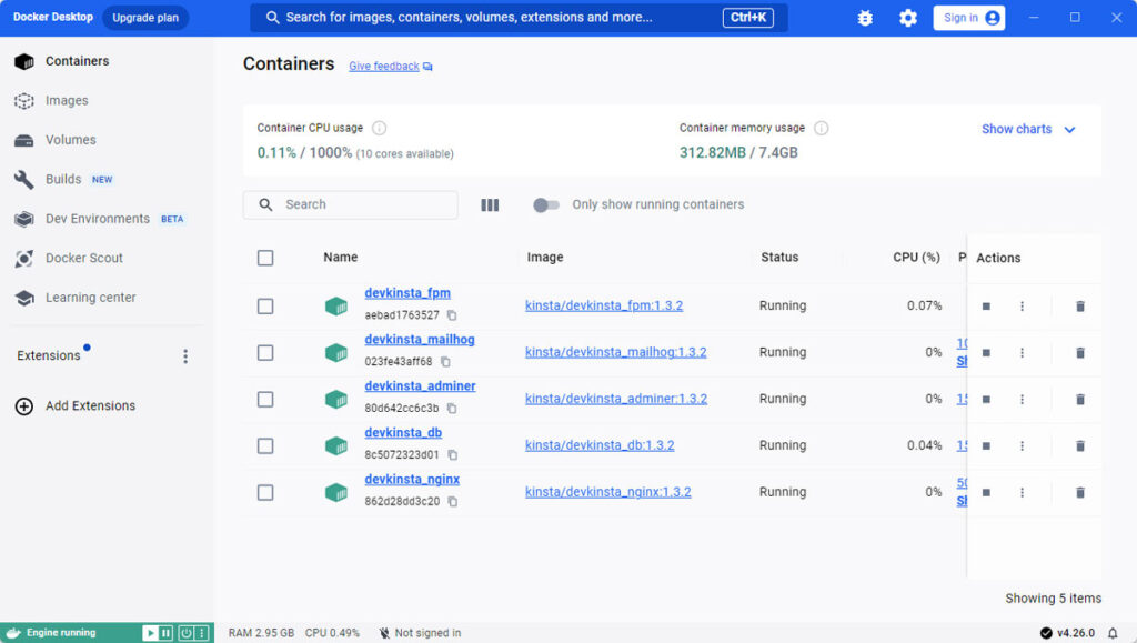 devkinsta container in docker
