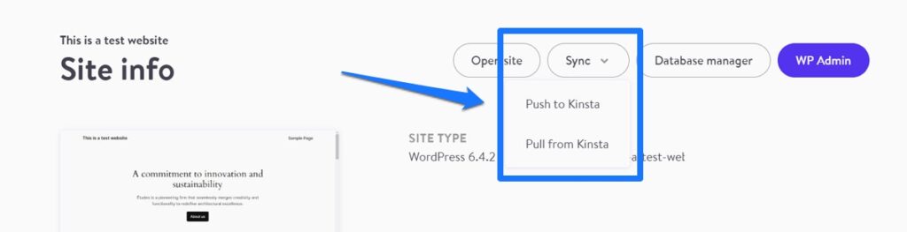 devkinsta sync option